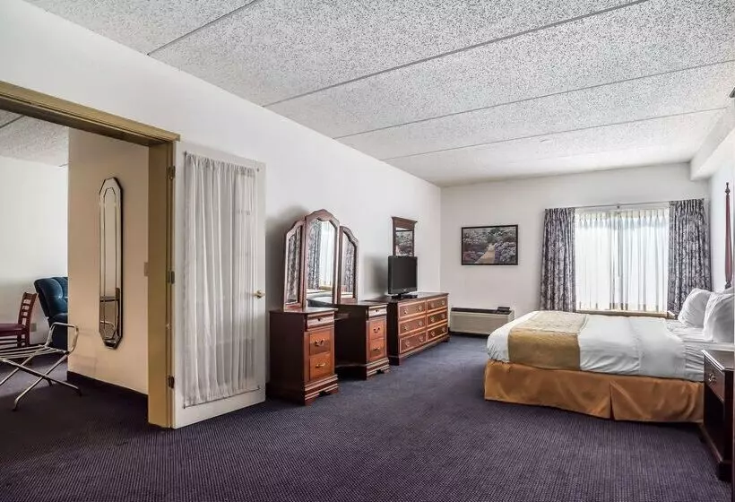 Hotel Quality Inn & Suites Albany Airport