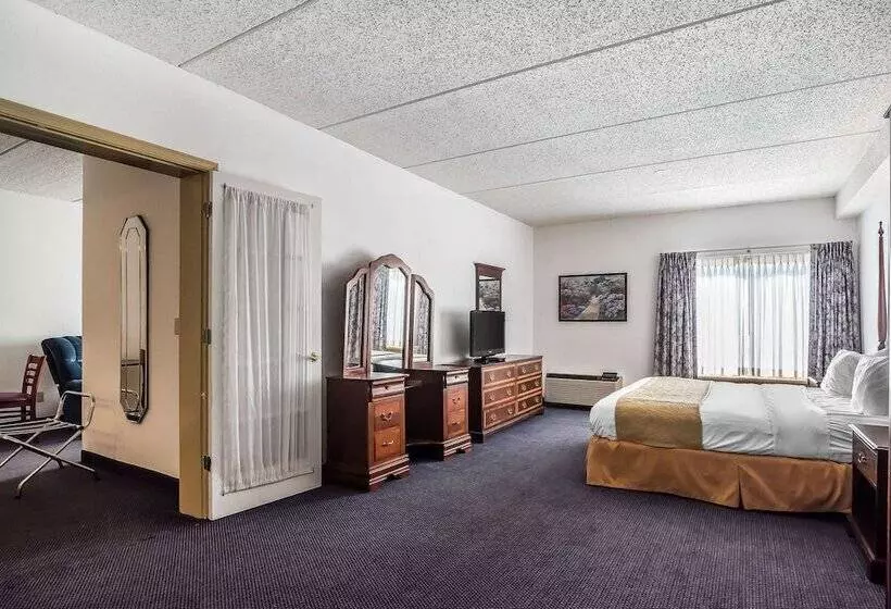 Hotel Quality Inn & Suites Albany Airport