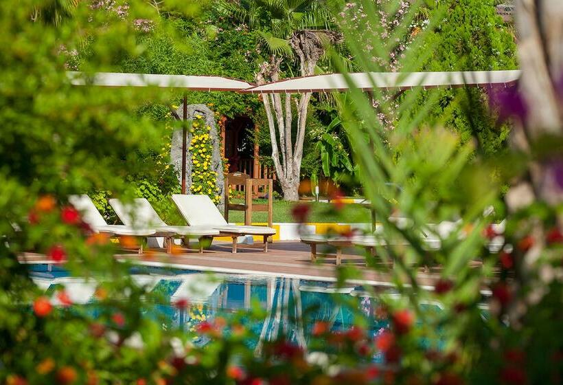 Sidekum Hotel   All Inclusive