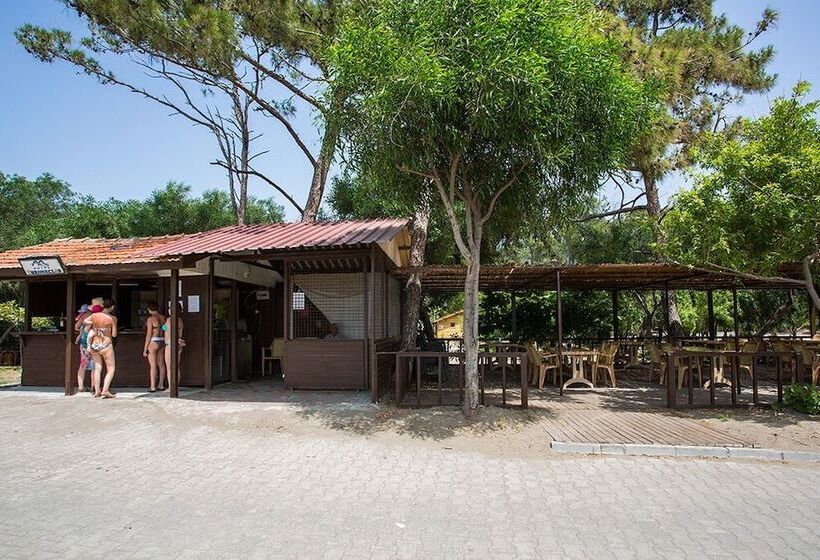 The One Club Hotel   All Inclusive