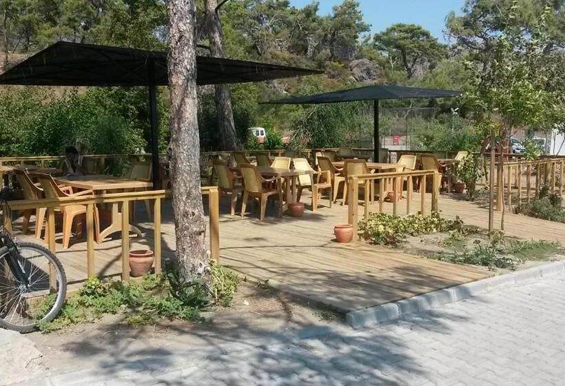 The One Club Hotel   All Inclusive