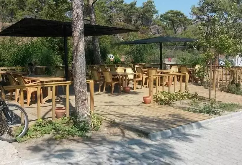 The One Club Hotel   All Inclusive