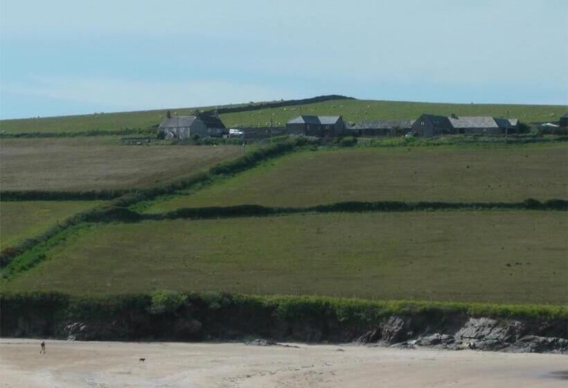 Lellizzick Bed And Breakfast