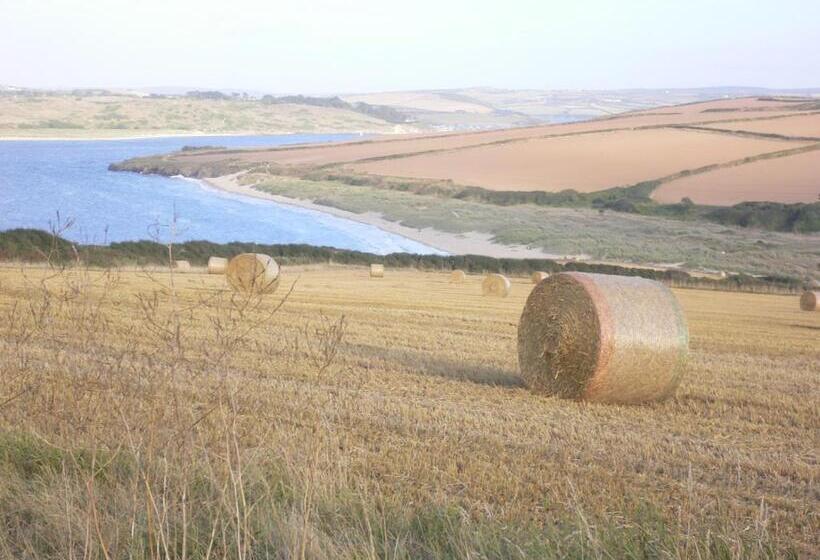 Lellizzick Bed And Breakfast