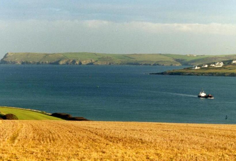 Lellizzick Bed And Breakfast