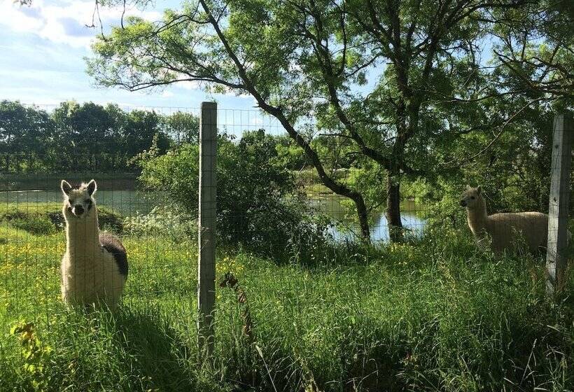 פנסיון Gîte Du Bois Brillant