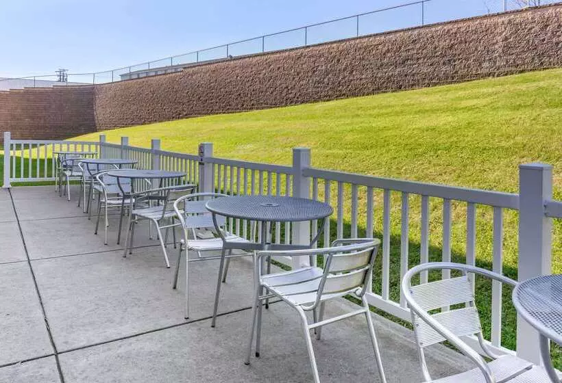 هتل Comfort Suites Amish Country