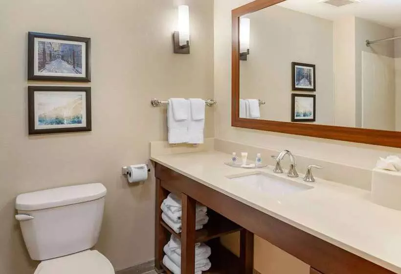 هتل Comfort Suites Amish Country