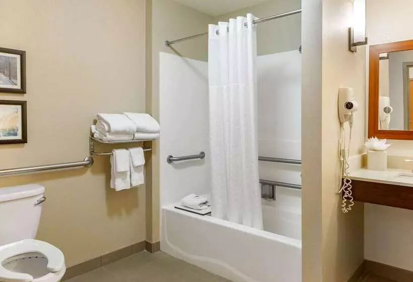 هتل Comfort Suites Amish Country