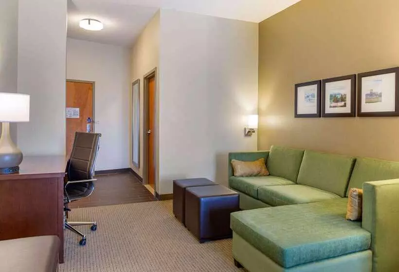 هتل Comfort Suites Amish Country