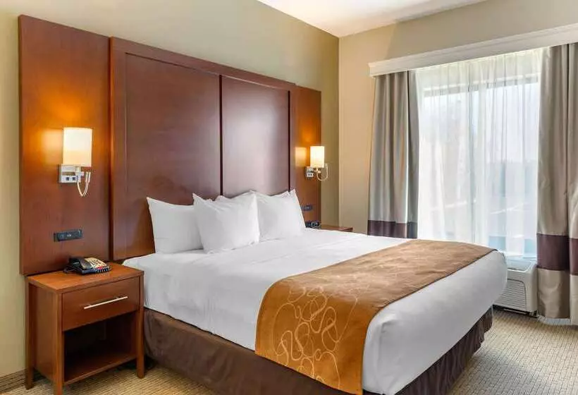 هتل Comfort Suites Amish Country