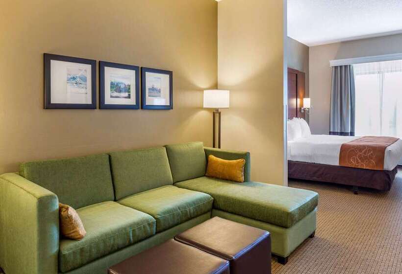 호텔 Comfort Suites Amish Country