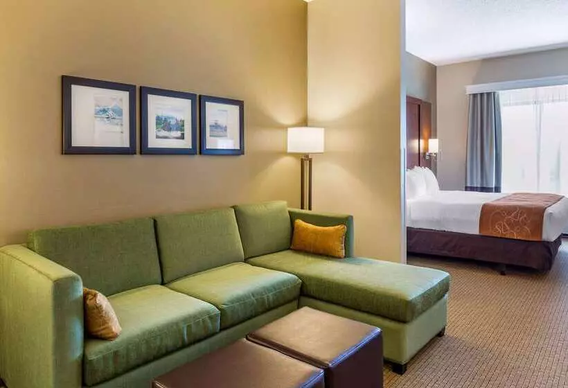 هتل Comfort Suites Amish Country