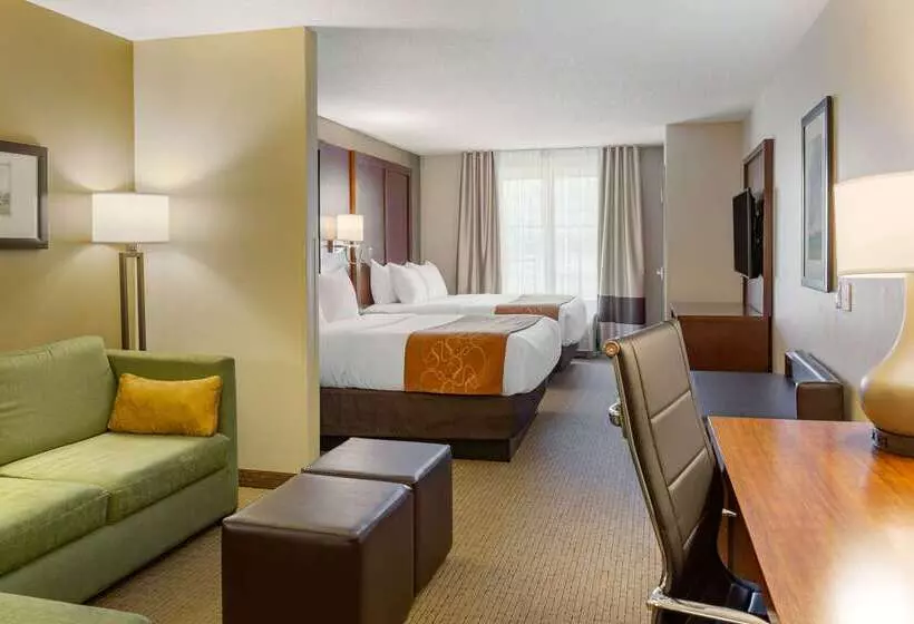 هتل Comfort Suites Amish Country