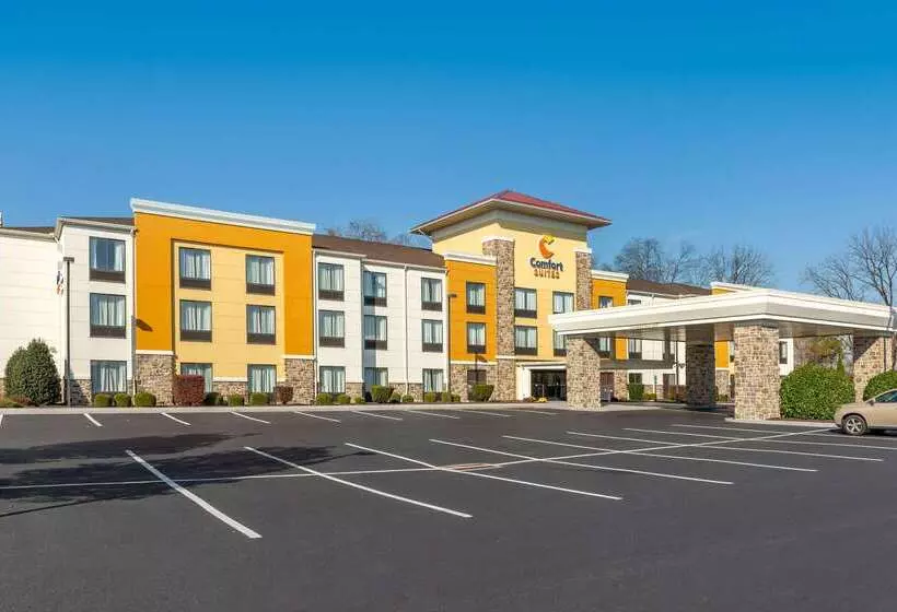 هتل Comfort Suites Amish Country