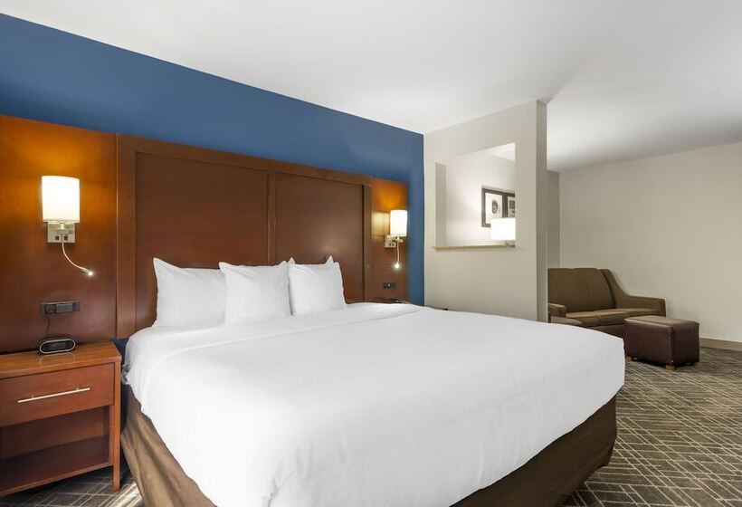 فندق Comfort Suites Atlanta Airport