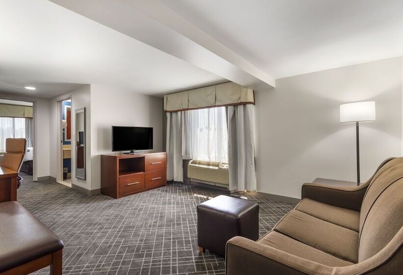 فندق Comfort Suites Atlanta Airport