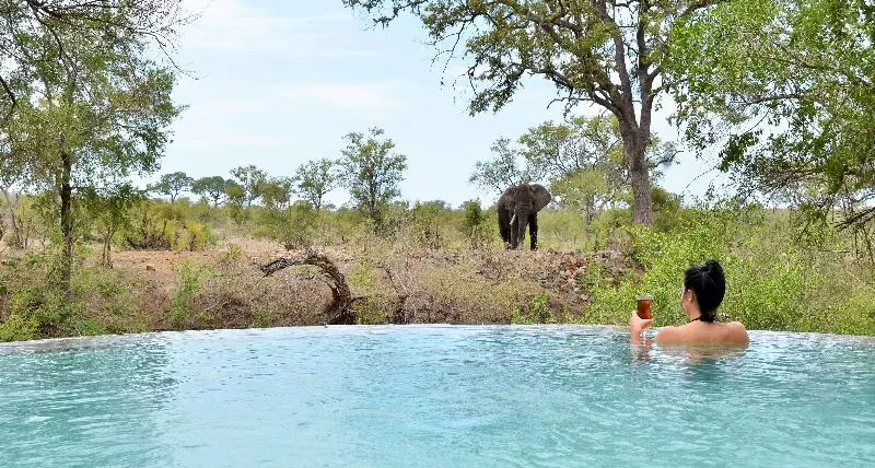 Отель Hoyo Hoyo Safari Lodge