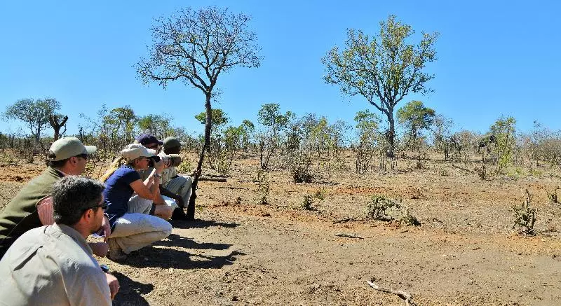 Отель Hoyo Hoyo Safari Lodge