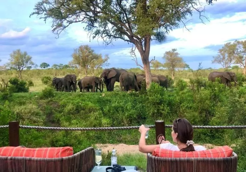 Отель Hoyo Hoyo Safari Lodge