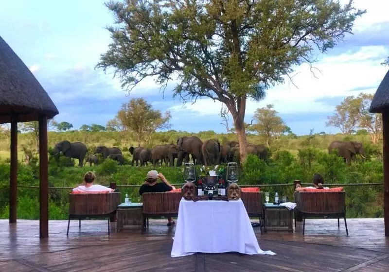 Отель Hoyo Hoyo Safari Lodge