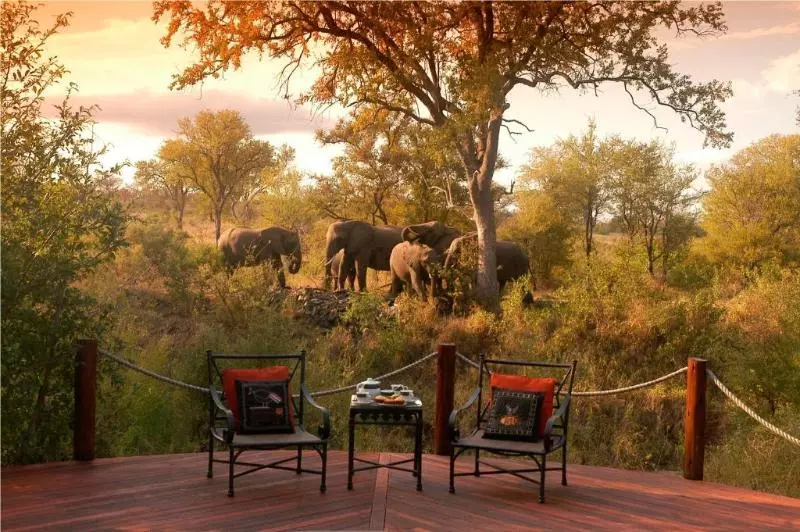 Отель Hoyo Hoyo Safari Lodge