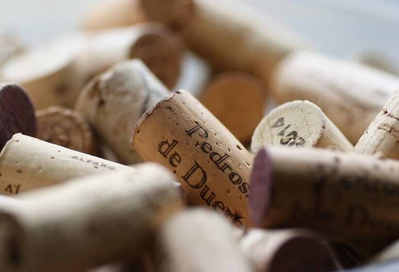 酒店 Pontes Do Eume