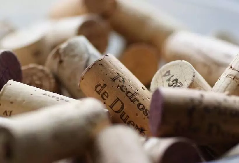 호텔 Pontes Do Eume