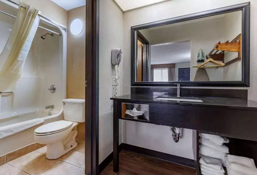 فندق Quality Inn & Suites Ft. Jackson Maingate