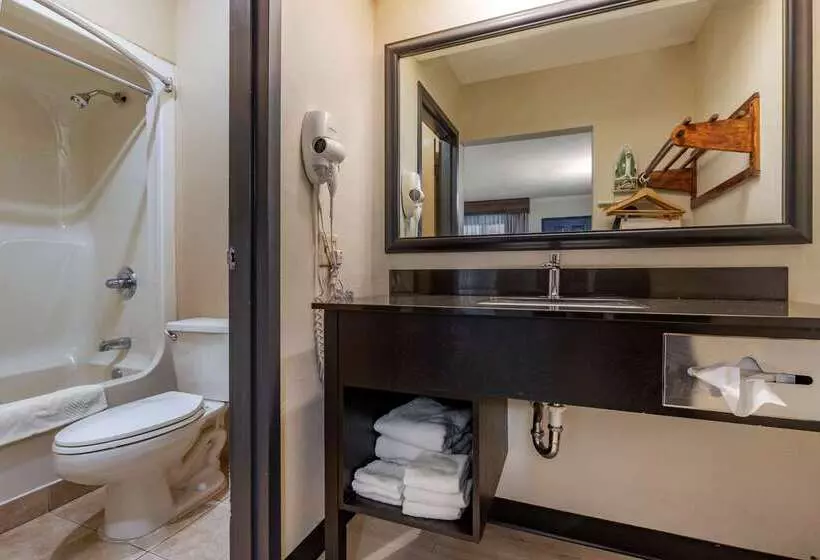 فندق Quality Inn & Suites Ft. Jackson Maingate