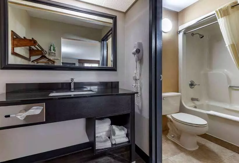 فندق Quality Inn & Suites Ft. Jackson Maingate