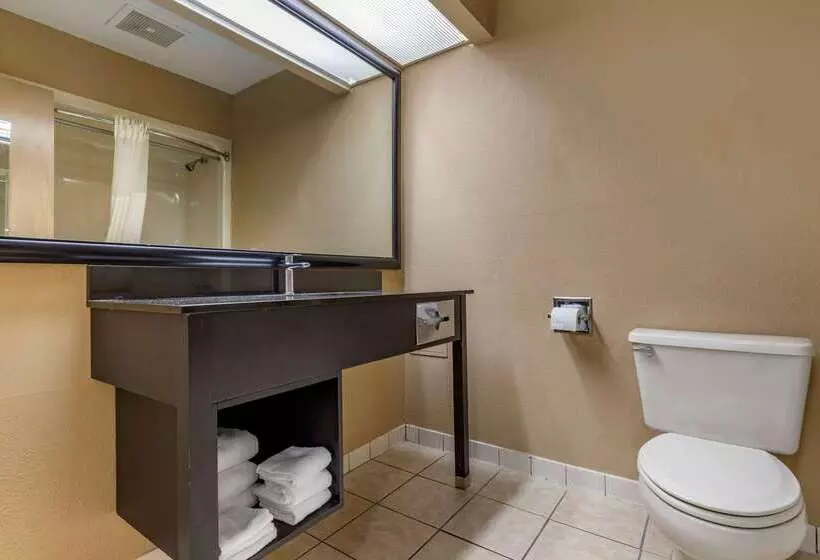 فندق Quality Inn & Suites Ft. Jackson Maingate