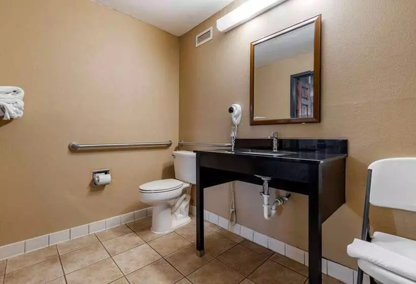 فندق Quality Inn & Suites Ft. Jackson Maingate