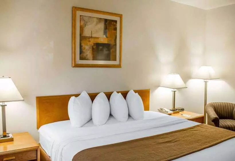 Hotel Quality Inn & Suites Longview Kelso