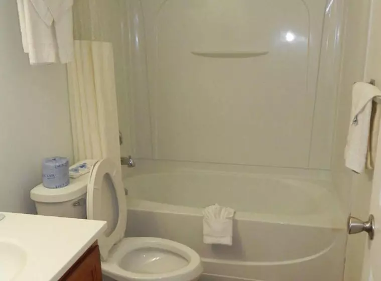 Отель Rodeway Inn Niagara Falls