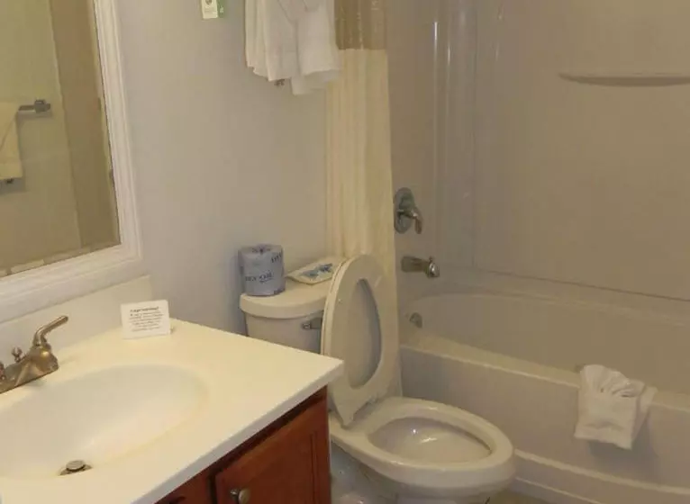 Отель Rodeway Inn Niagara Falls