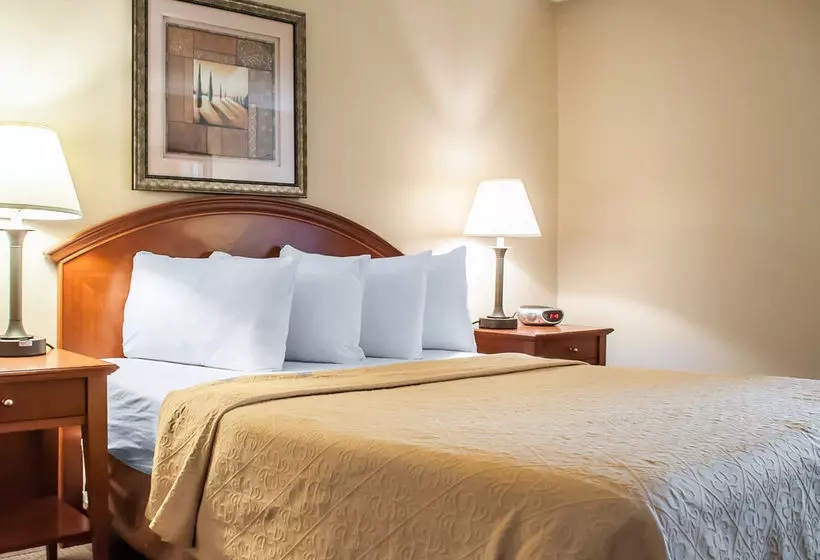 Отель Rodeway Inn Niagara Falls