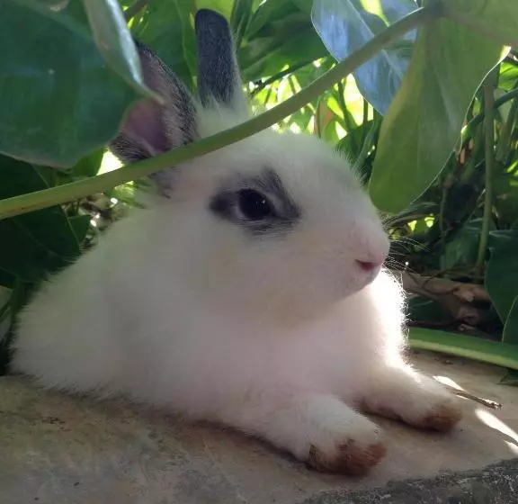 Отель Ruean Thai