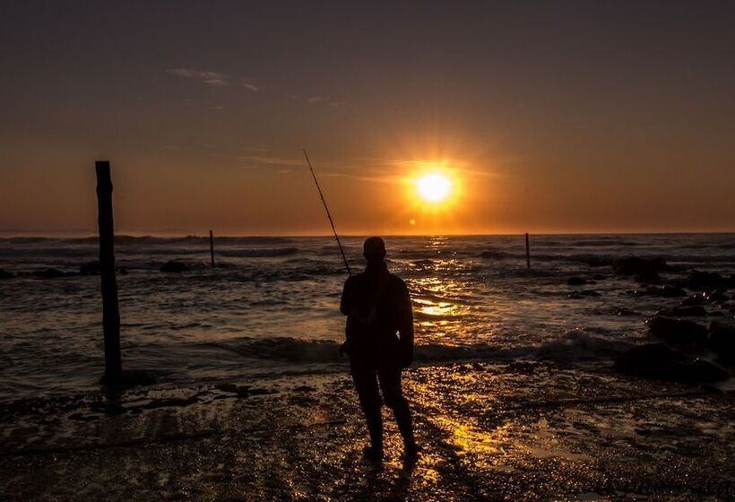 Отель Sandals Guest House