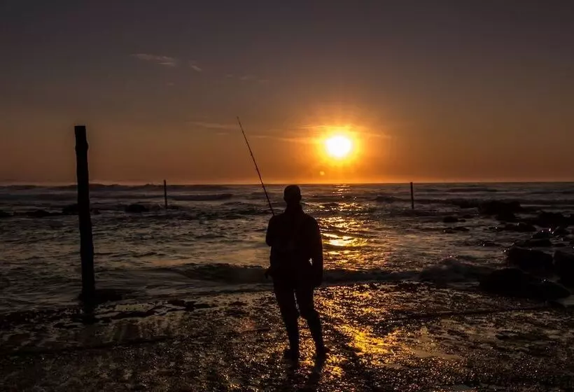 בית מלון כפרי Sandals Guest House