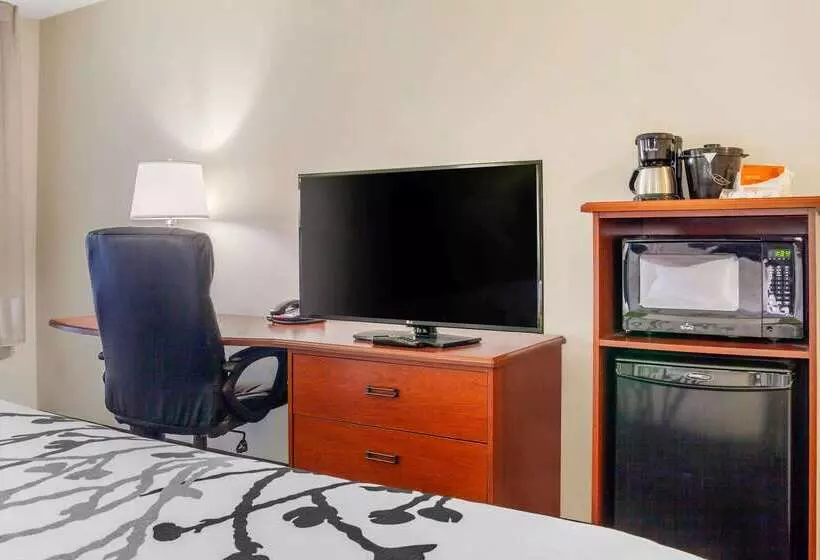 בית מלון כפרי Sleep Inn & Suites Airport