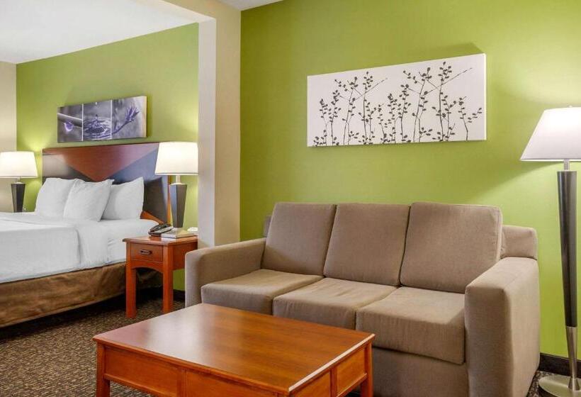 فندق Sleep Inn & Suites Airport