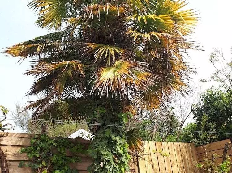 Aamiaismajoitus (B&B) Maison Tartifume