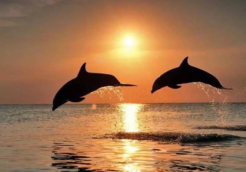 Отель New Adirama Beach