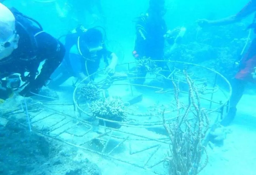 Отель New Adirama Beach