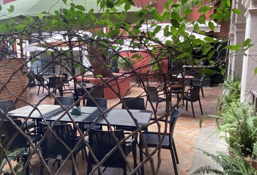 هتل Ana Catalina & Suites