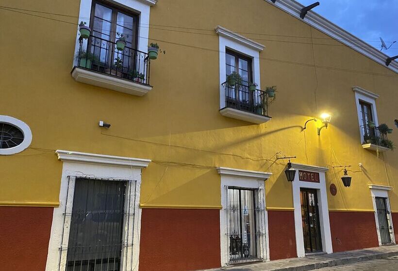 هتل Ana Catalina & Suites