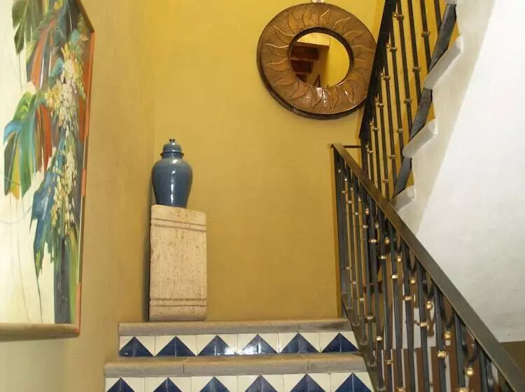 ホテル Ana Catalina & Suites