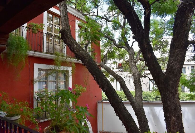 هتل Ana Catalina & Suites