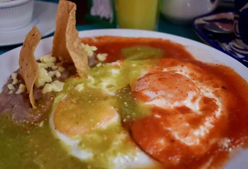 ホテル Ana Catalina & Suites